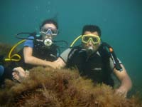ДАЙВИНГ по программе Discover Scuba Diving